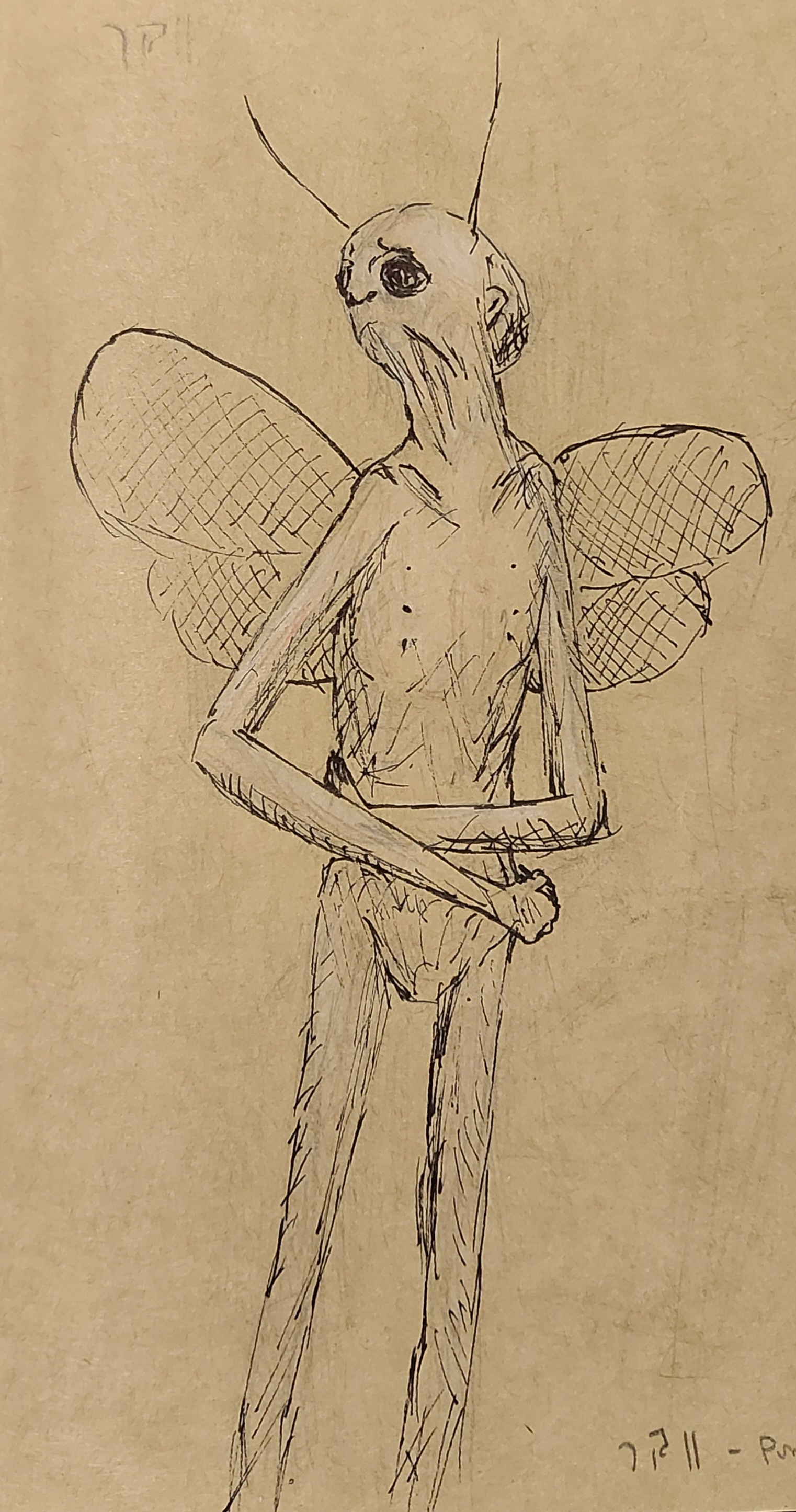 A slender humanoid fly creature